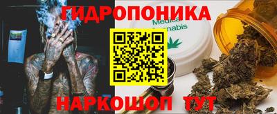 молекула духа Заводоуковск