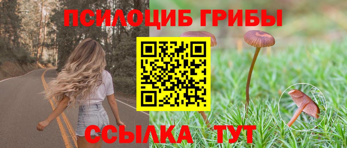 где купить наркотик  Вход с VPN  Костомукша  Галлюциногенные грибы GOLDEN TEACHER 
