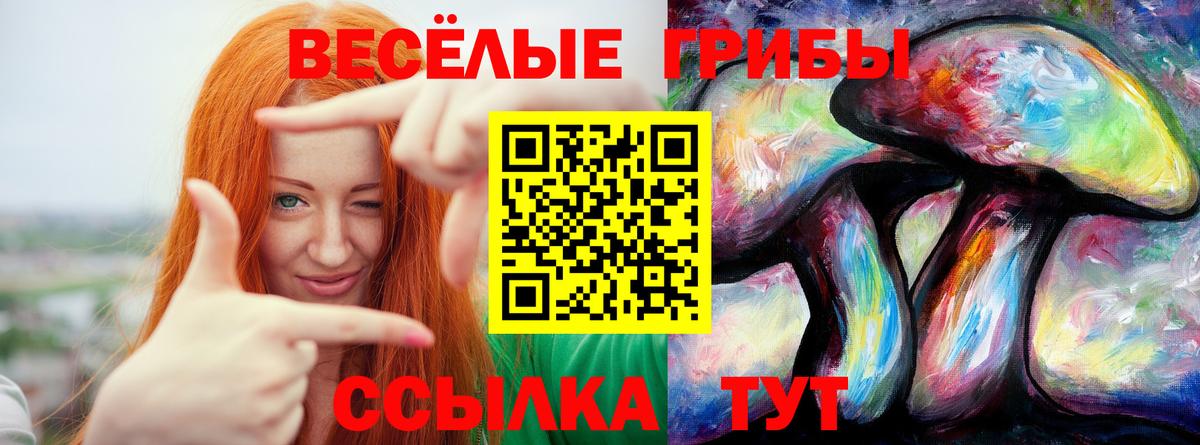 Галлюциногенные грибы мухоморы Костомукша